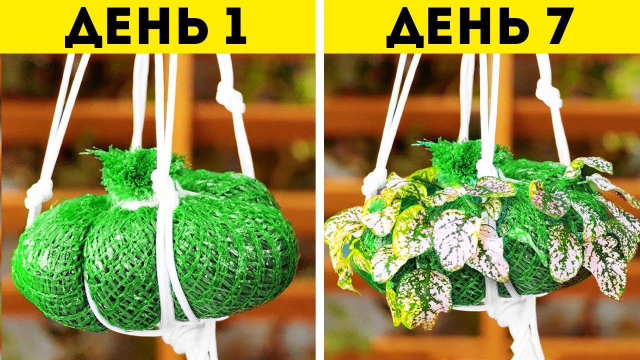 Выращивайте ЛЮБОЕ растение БЕЗ опыта! 🌱✨ (Супер простые садовые советы!)