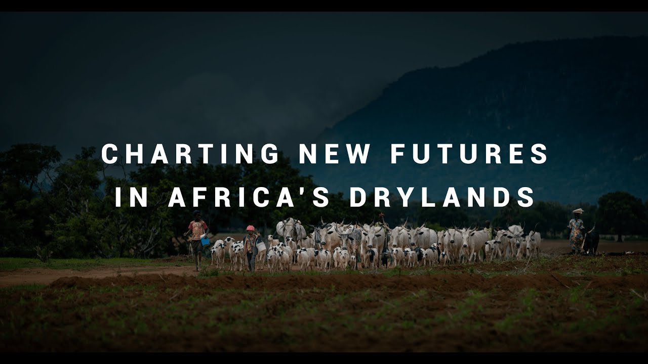 Charting new futures in Africa’s drylands | SPARC documentary