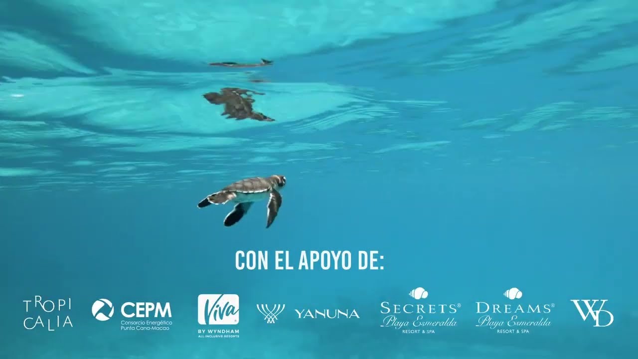 Construcción vivero de nidos de tortugas marinas en Playa Esmeralda