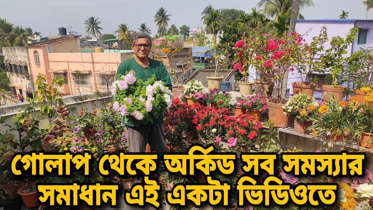 মাটিতে গোলাপ থেকে অর্কিড আজ হবে মুস্কিল আসান করা ভিডিও পান্নালাল কাকুর সাথে || Easy garden care ||