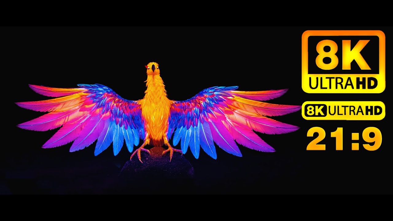 [21:9] Birds of the Wild &ndash; A Cinematic Exploration in 8K UHD