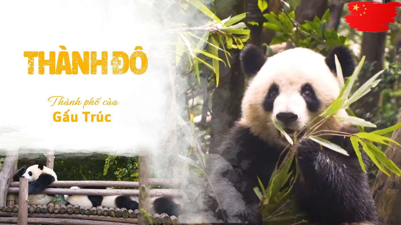 # DU LỊCH TRUNG QUỐC - THÀNH ĐÔ - TỨ XUYÊN