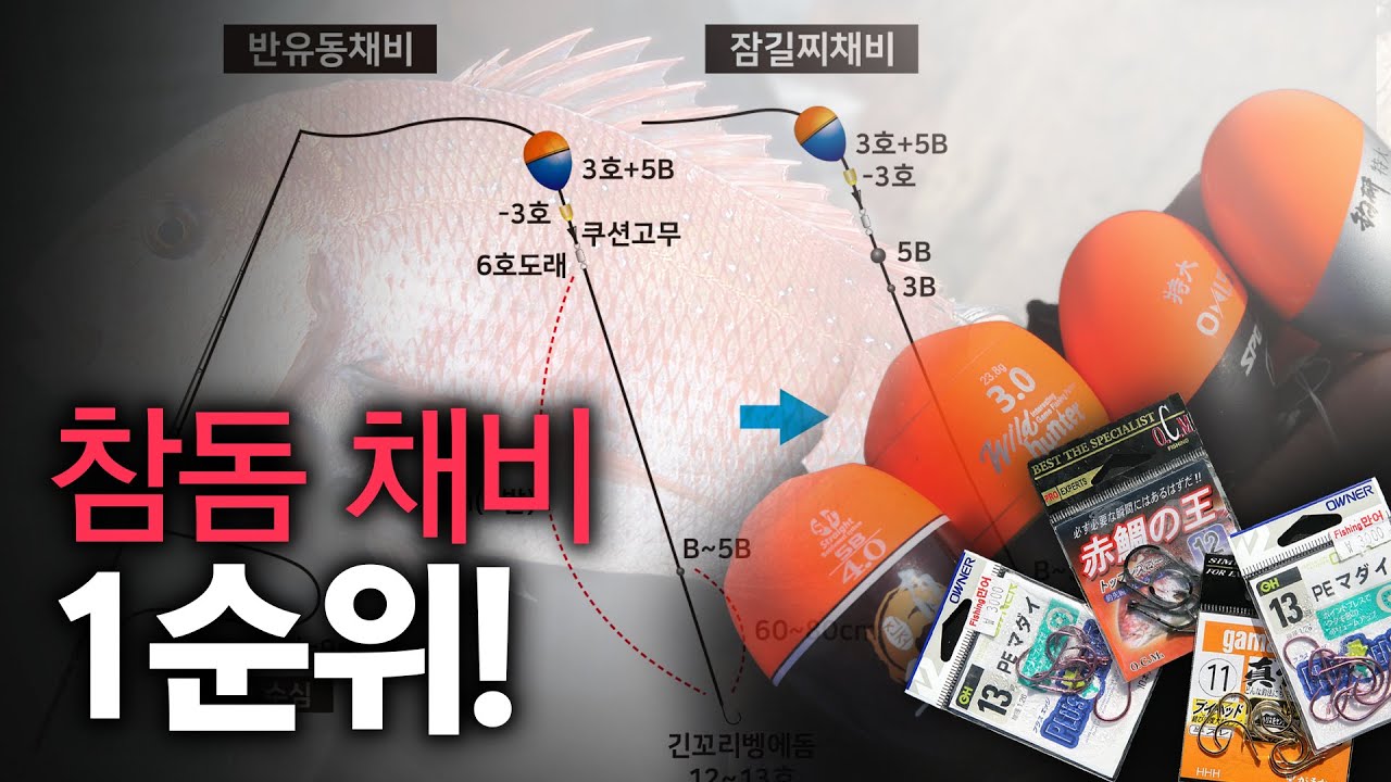 참돔특강 3부작(3) : 참돔낚시 필승채비... 인기순위 정리 끝!