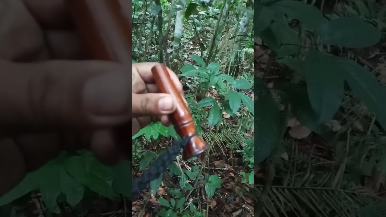 Passando a noite na selva... amazônica 