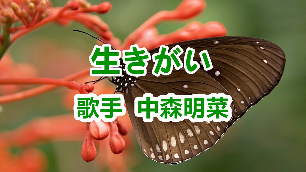 生きがい～唄 中森明菜 (日本レコード大賞受賞者)