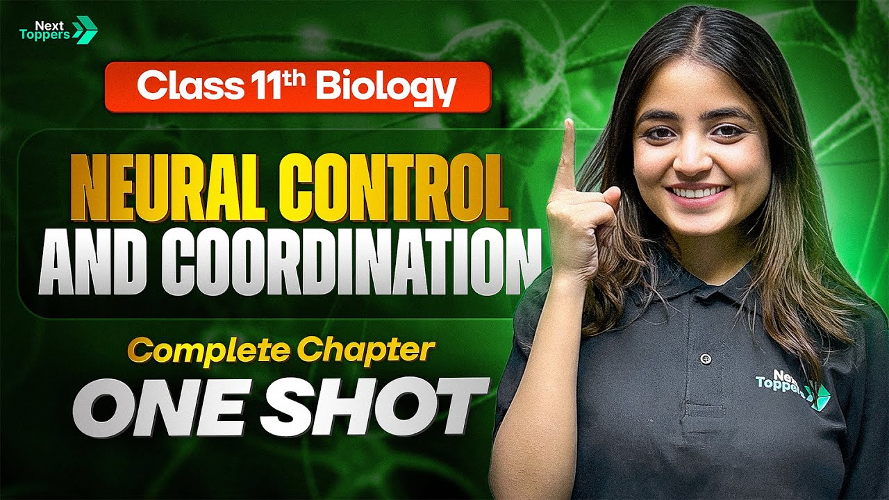 Neural Control and Coordination Class 11 One Shot | 11th Biology Chapter-18 Revision | CBSE 2026