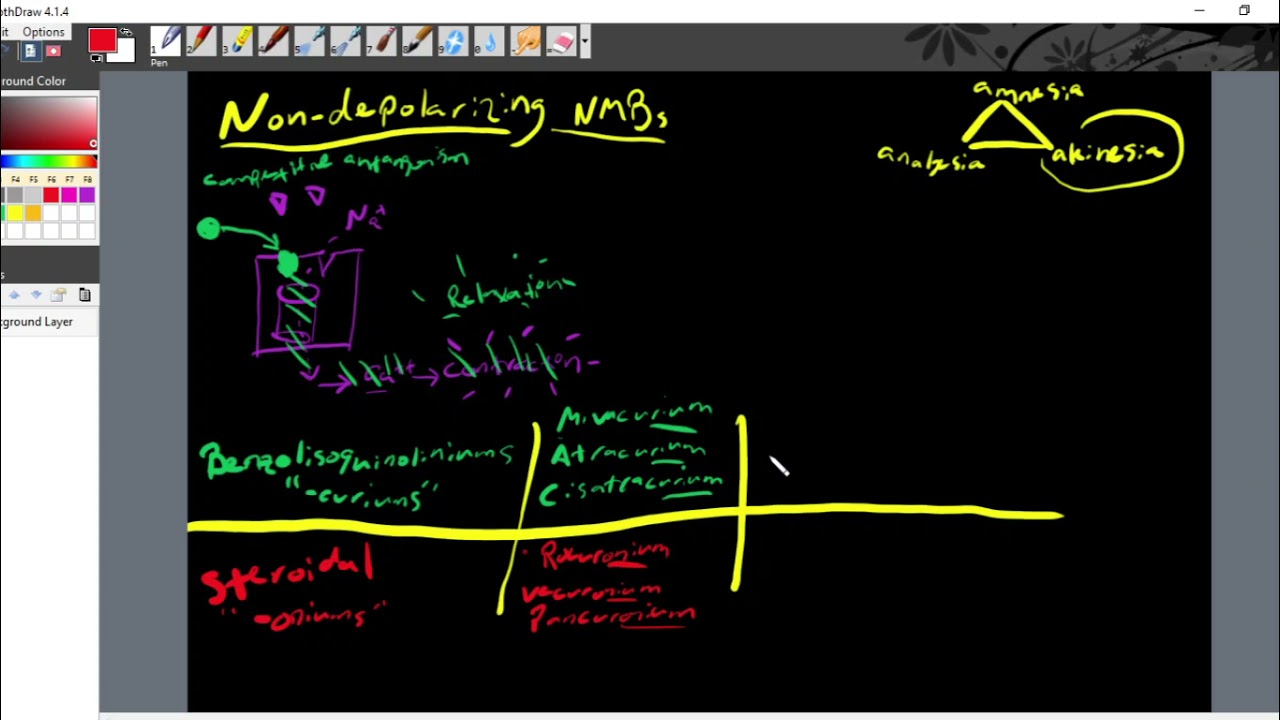 Intro to Non-depolarizing Neuromuscular Blockers