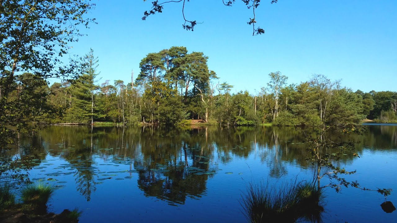Oisterwijkse bossen & vennen