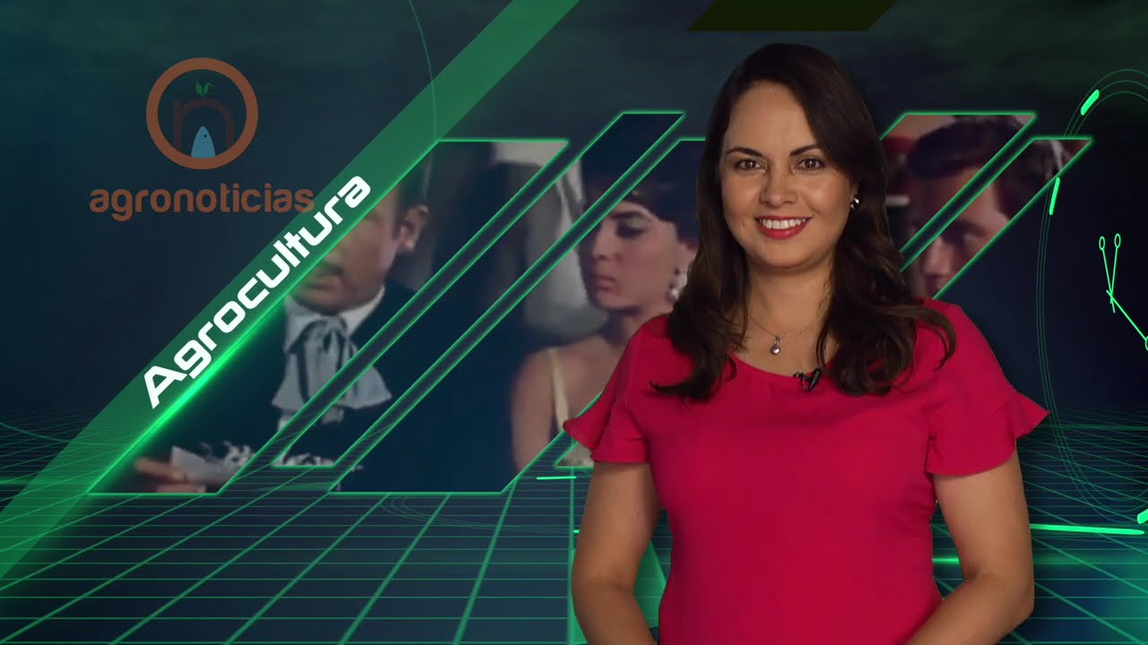 Esta semana en Agronoticias te contaremos sobre las hormigas chicatanas