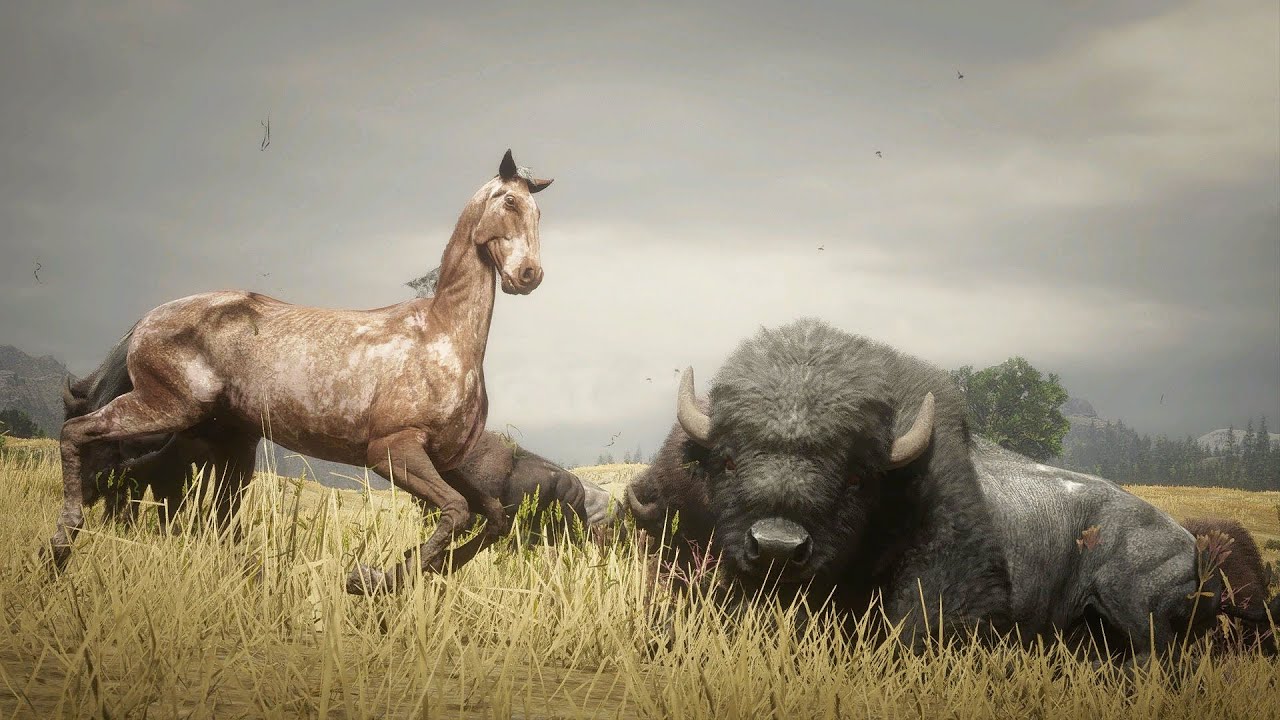 Horse Falls and Crashes Euphoria Ragdolls RDR2 PC Mods part 8