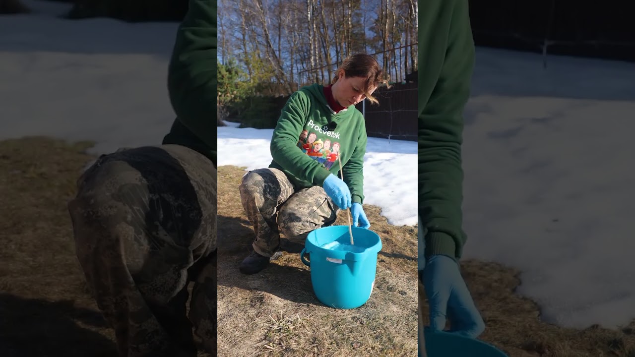 Эта обработка избавит сад от болезней! Простой эффективный рецепт и это не бордоская смесь