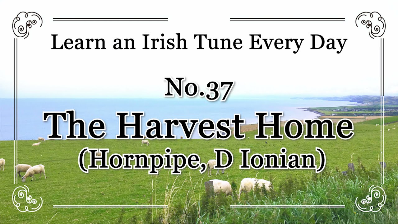037 The Harvest Home (Hornpipe, D Ionian) Learn an Irish Tune Every Day.
