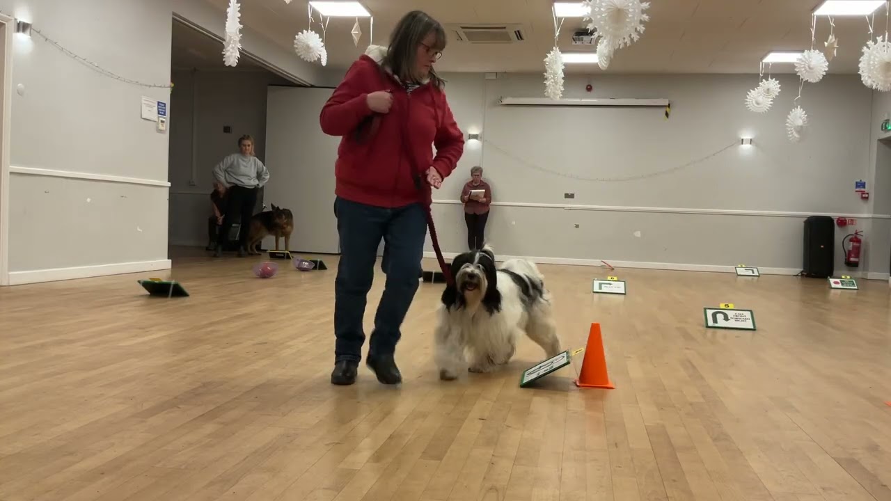 Level 2 Rally Mini Competition - Sunday 14th December Judge Sue Howlett 