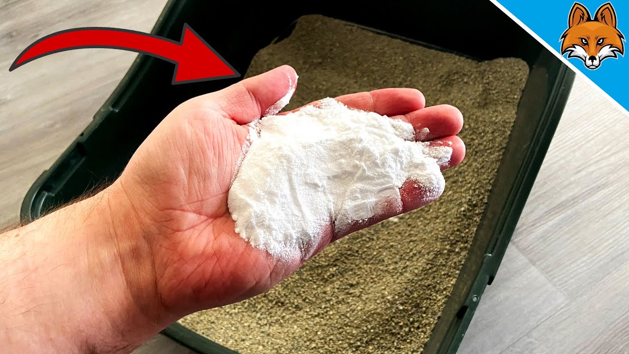 Бросьте ЭТО в лоток и ПОСМОТРИТЕ, ЧТО ПРОИСХОДИТ 💥 (Гений) 🤯