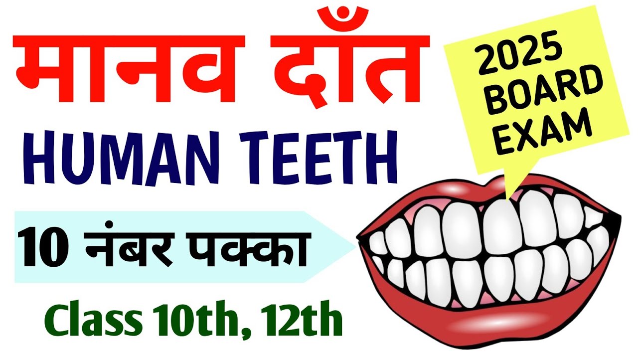 मानव दाँत Human Teeth Board Exam 2025 Important Biology Digrams 2025 /@howdysanjeevsireducational