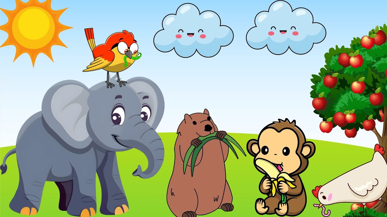 O Que os Animais Comem? Herbívoros, Carnívoros e Onívoros! Vídeo educativo para crianças