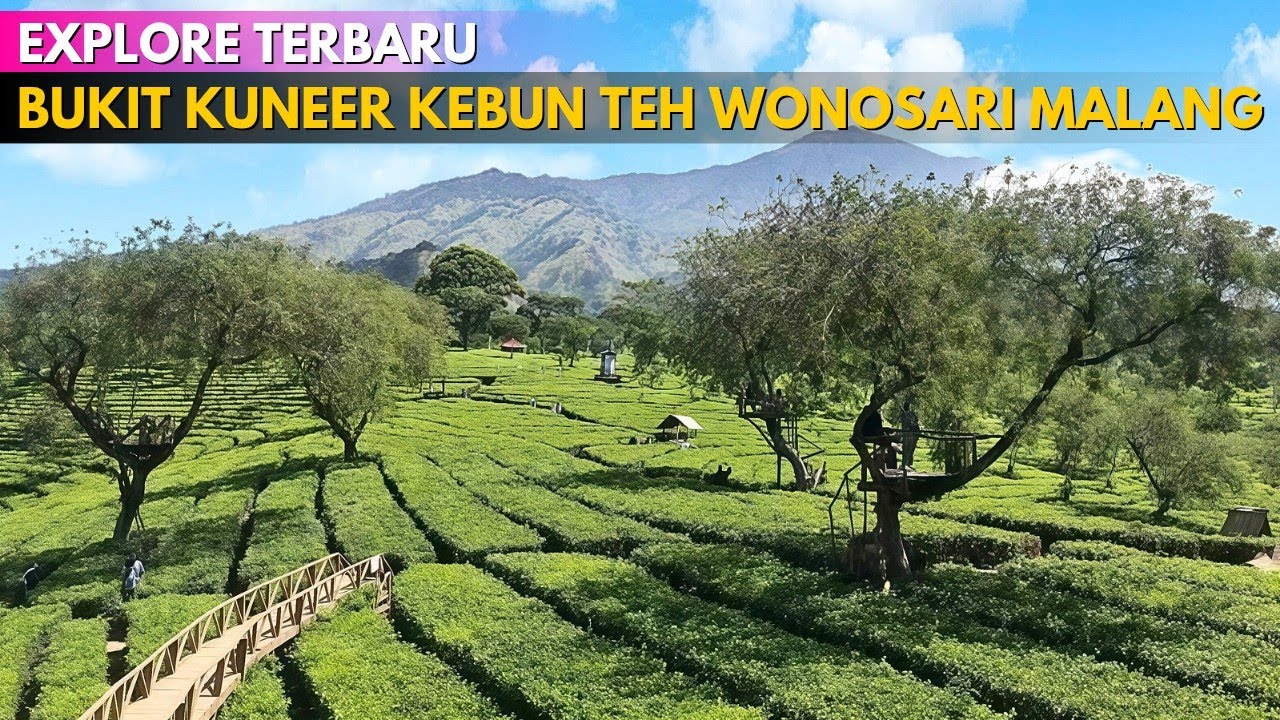 BUKIT KUNEER KEBUN TEH WONOSARI MALANG Terbaru ‼ Viewnya Cakep Banget