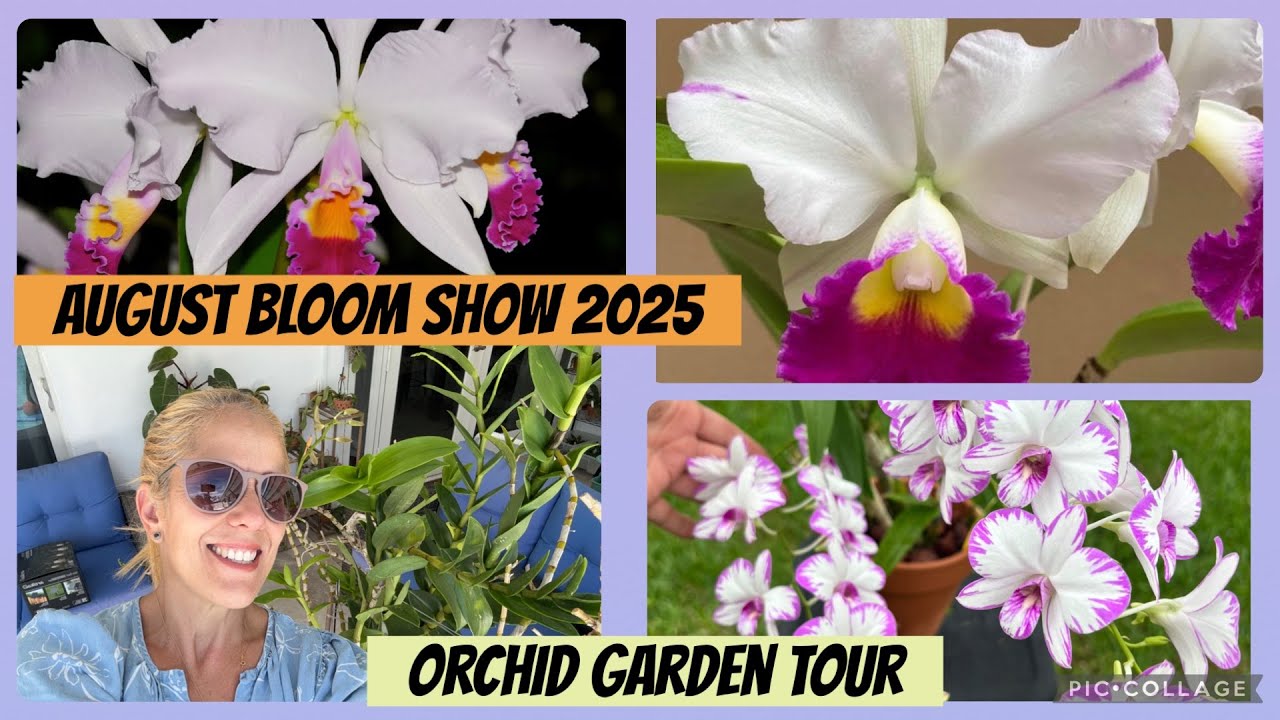 August Orchid Bloom Show / Garden Tour! 