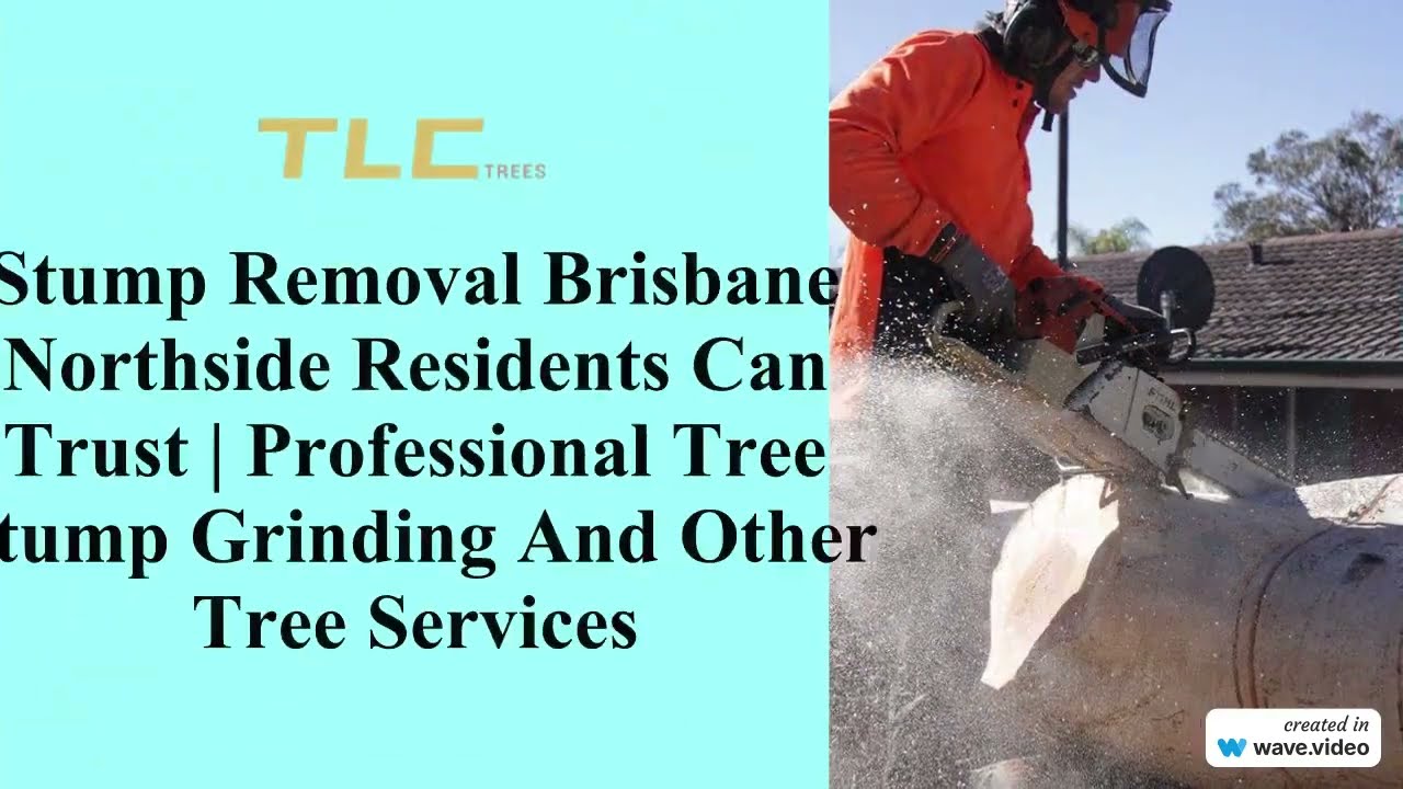 Stump Removal - TLC Trees and Co