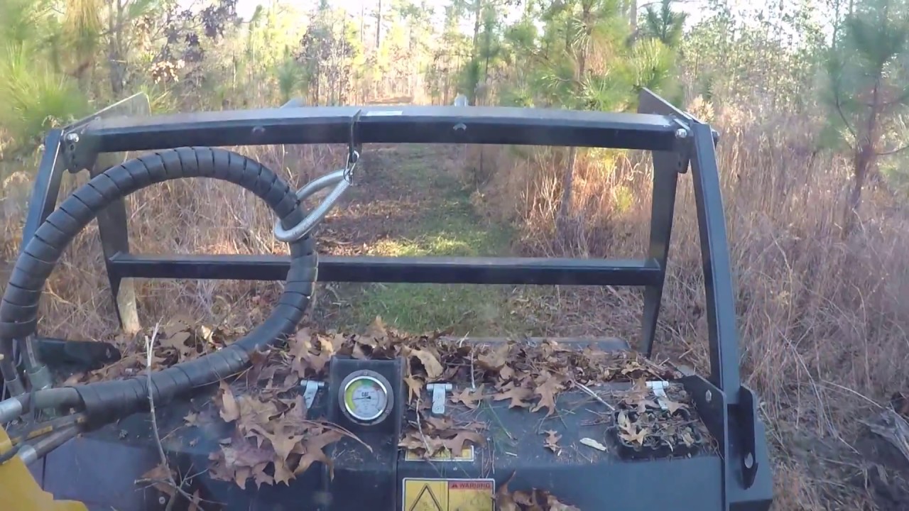 Underbrushing & Trail cutting