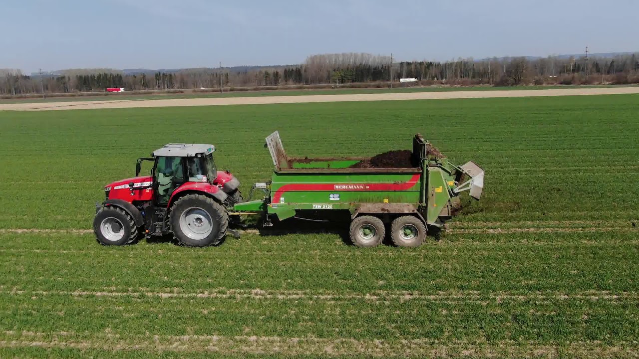 Hühnermist streuen mit einem Massey Ferguson 6716 und Bergmann TSW 2120