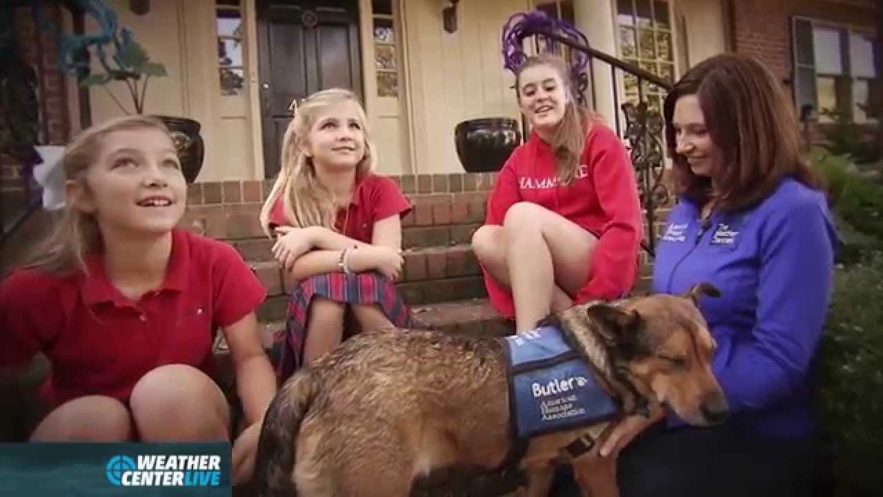 Butler The Weather Channel Therapy Dog Visits Flood Victims in SC