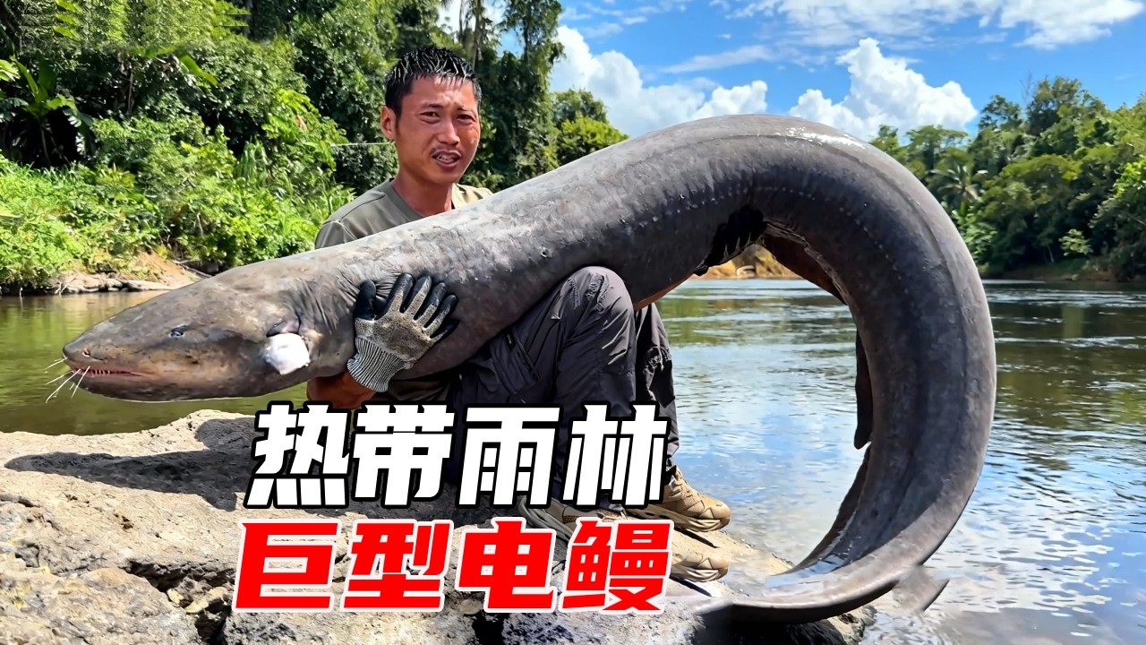 亚马逊热带雨林野外生存探索第二天：平头哥吃食人鲳的生鱼片一点也不嫩，意外钓到十几斤亚马逊巨型电鳗，真的太惊喜了【户外平头哥】