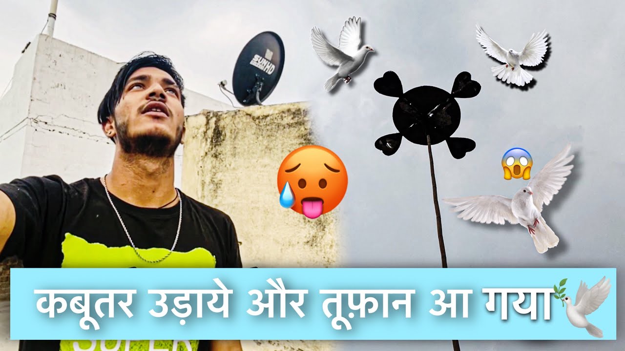 Aaj Hamne Udaye 5 Kabutar 🕊️ || Tufan Aa Gya 😱😳