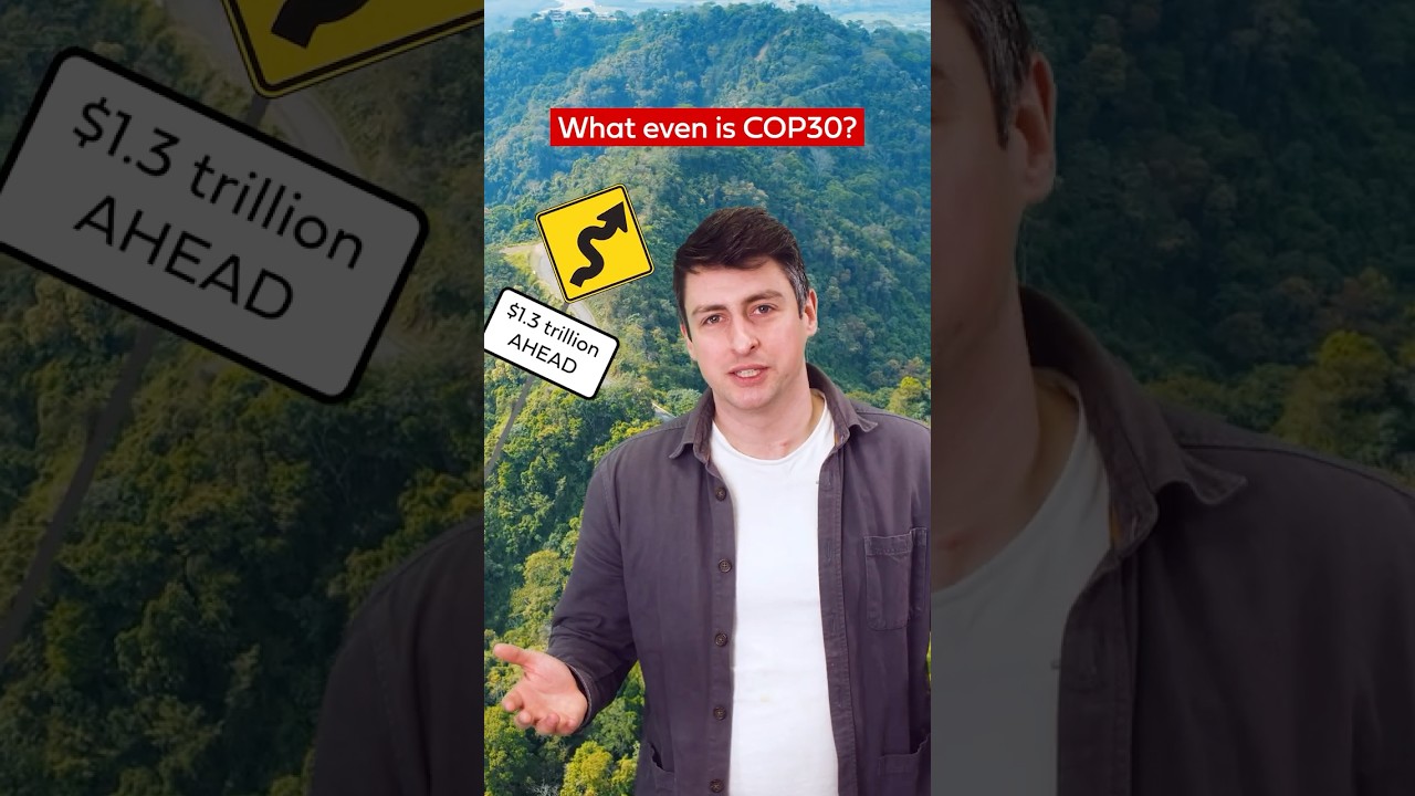 Что такое COP30?
