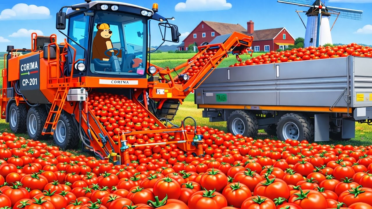 Farm Work Day 🍅🚜 | Tomato Harvest & Farm Transport | Real Farm Animation