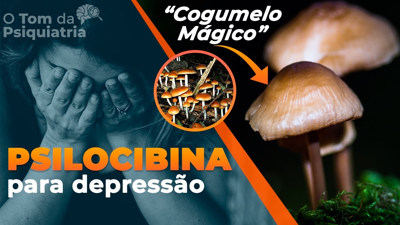 PSILOCIBINA: substância encontrada em 