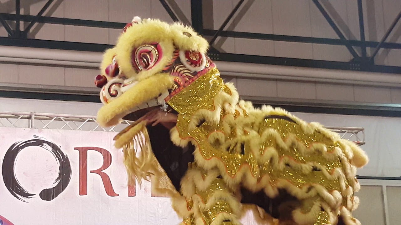 Danza del Drago - Festival dell'Oriente (Bastia Umbra)