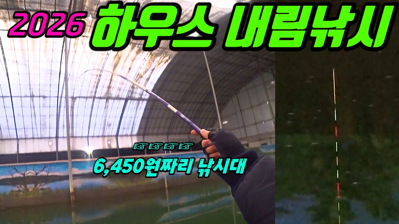 6천원짜리 낚시대로 하우스 내림낚시 정복하기!!!