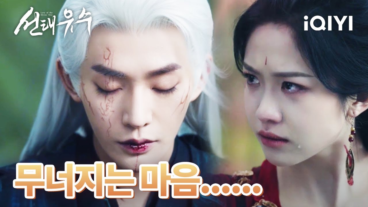 💔스승과 제자의 관계를 끊은 목청가와 소이수 목청가를 위해 환생 나무를 심은 소이수 | 선태유수 7-8화 | iQIYI korea