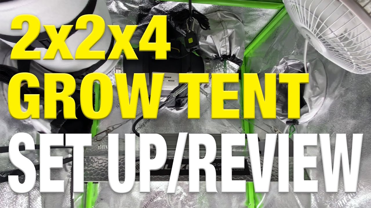 Vivosun 2x2x4 Grow Tent Setup And Review