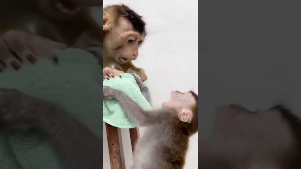 &ldquo;He Didn&rsquo;t Want the Baby Near Him&hellip; 💔&rdquo;