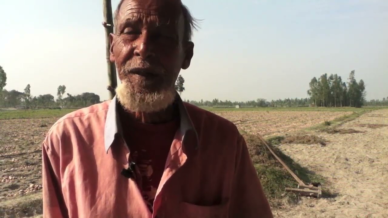 Potato farmers in Rangpur, 2014