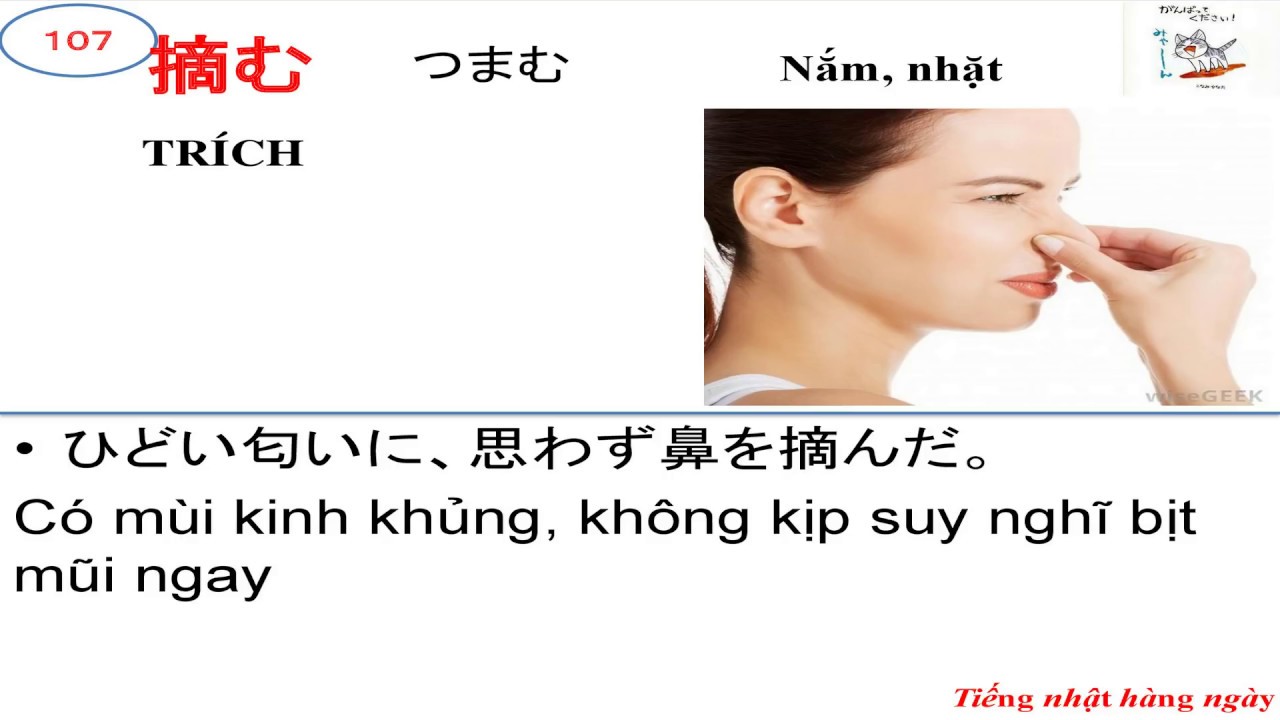 Mimi Kara Oboeru N1 Từ Vựng Bài 3
