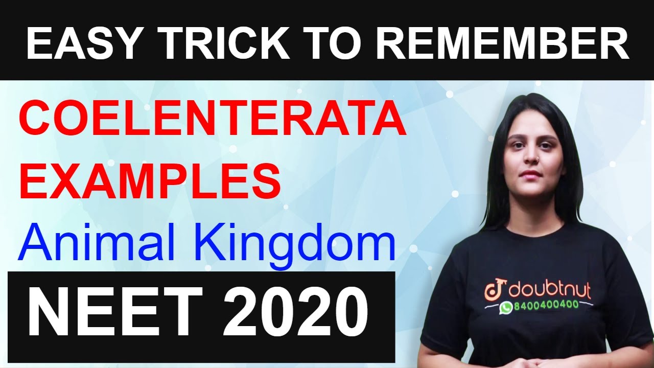 NEET 2020 | EASY TRICK TO REMEMBER COELENTERATA EXAMPLES | ANIMAL KINGDOM | NEET Mnemonics