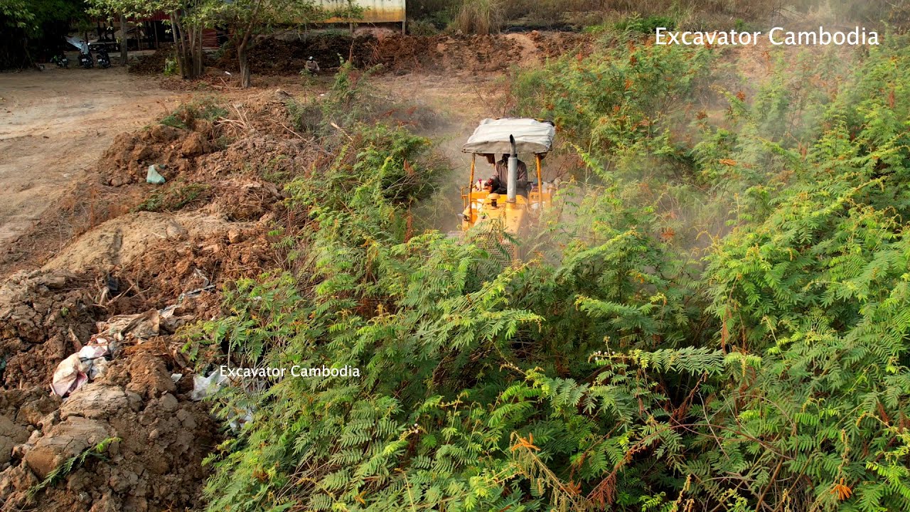Completed 100% !! Finally Strong Komatsu D31 Bulldozer Cleaning Land And Forest So Fast Good Working