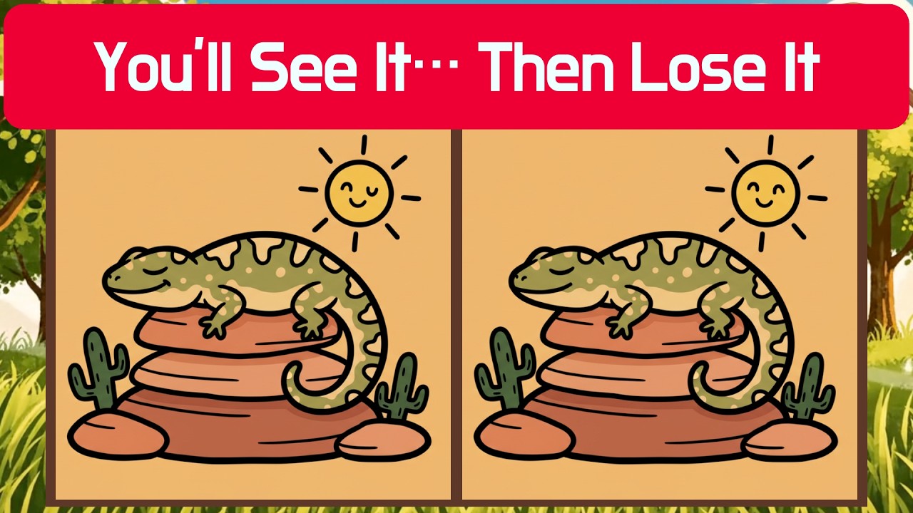 🦉 You’ll See It… Then Lose It | Detective Owl 🦉
