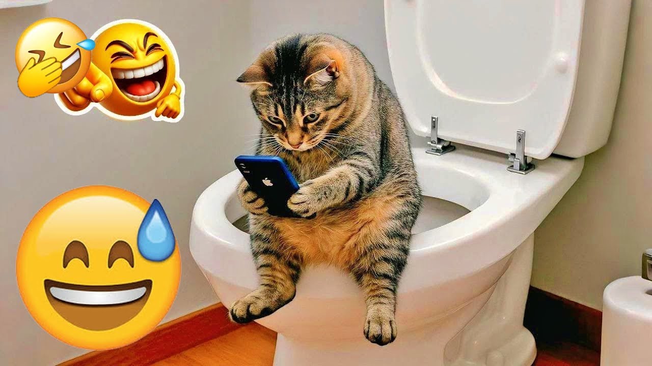 You Laugh You Lose 🤣 Funniest Cats and Dogs 2026🐕😺 Part 15