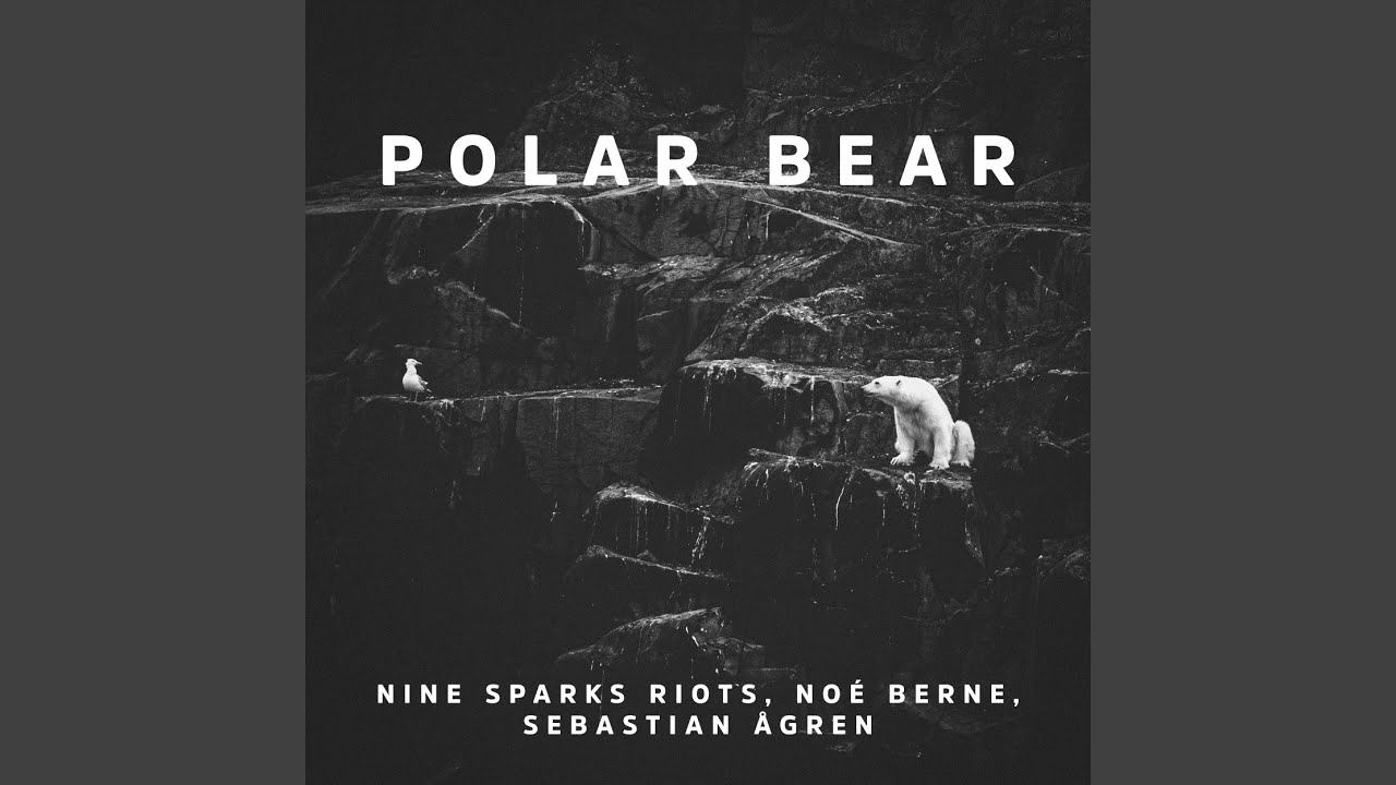 Polar Bear