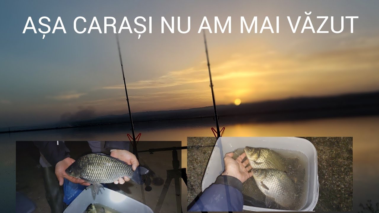 ASA CARAS PE OLT NU AM MAI VAZUT DEMULT . 3 LOCATII SI INSPIRATIA MUTARII IN ULTIMA CLIPA