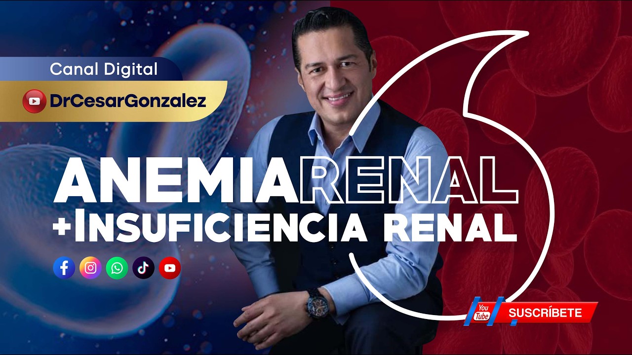 Anemia Renal: La energía que tu riñón te roba.