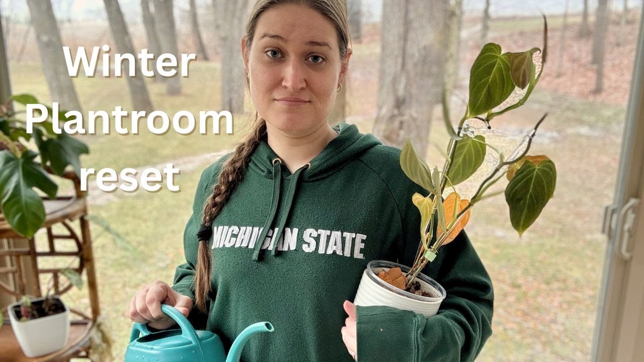 December Plant Room Clean Out & Cozy Winter plant Care