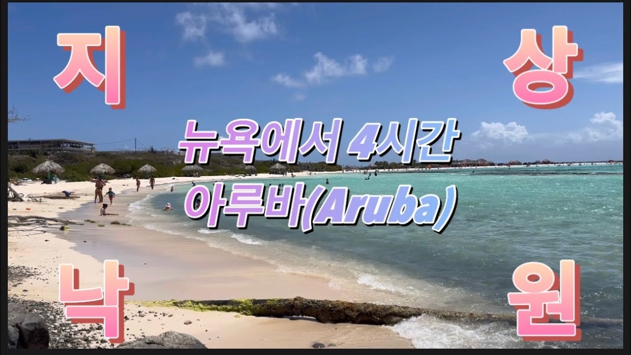 카리브해만 3번째....! 미국 1년살기 마지막 여행지는 아루바 Aruba