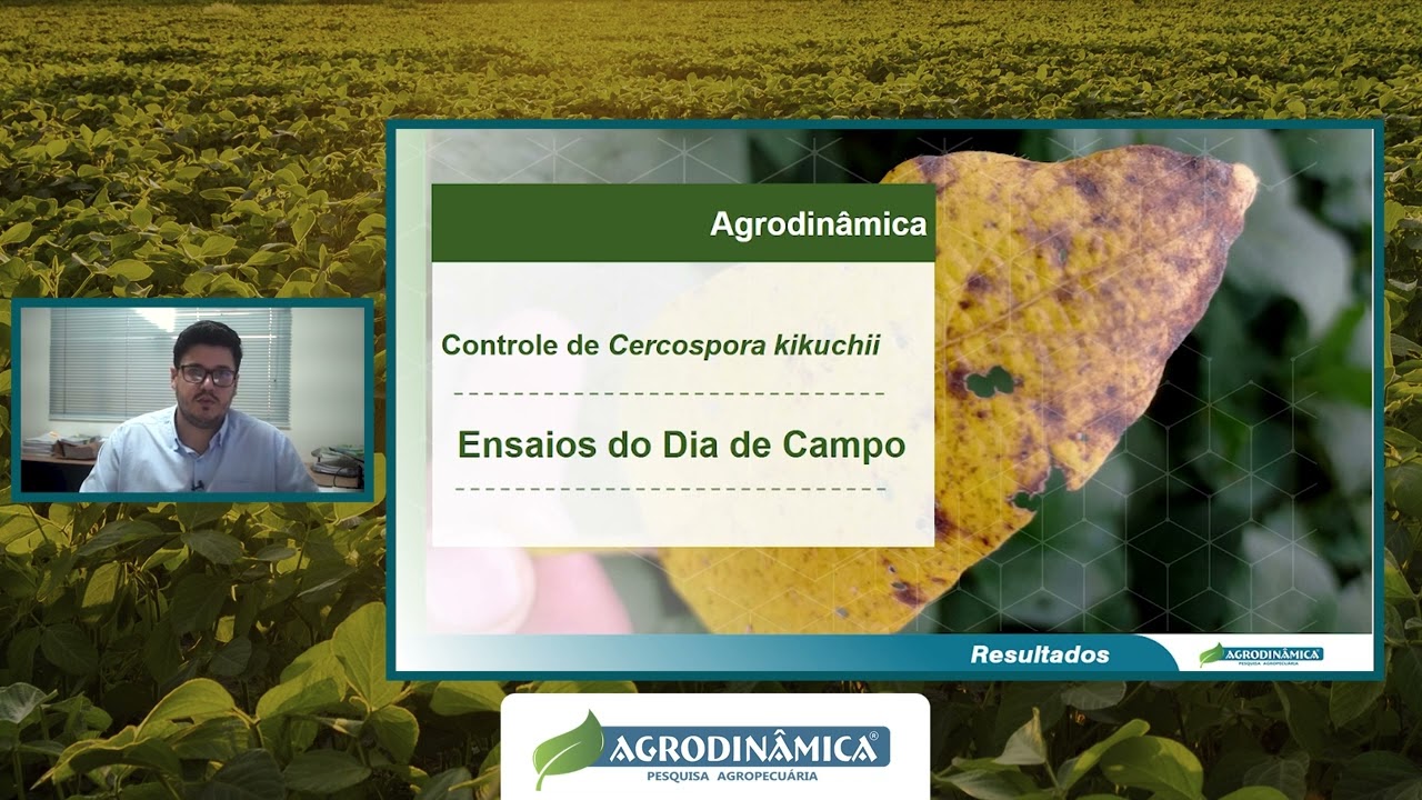 Controle de Cercospora com Fungicidas na Cultura da Soja
