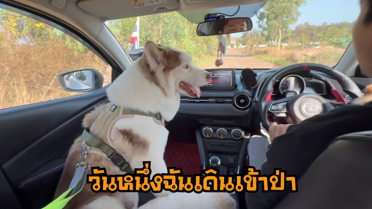 ตอนนี้ข้าวเหนียวเข้าโรงพยาบาลแต่พวกเราก็คิดถึงมากนะ