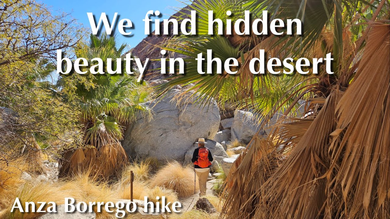 Hidden Beauty in the Desert: Borrego Palm Canyon Hike at the Borrego Palm Campground